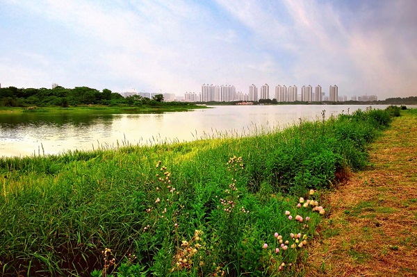 5·18国际博物馆日——华师附中航天龙城小学参观盘龙城遗址5.jpg